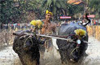 Kambala ban to figure strongly in parliament session commencing today